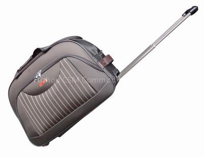 trolley case; computer case; trolly bags