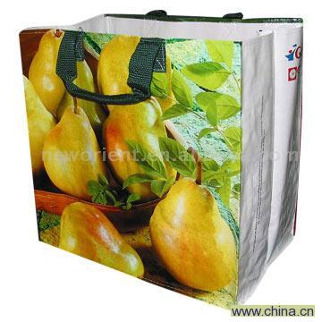 PP Woven Shopping Bag