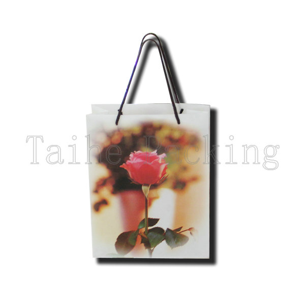 Beautirful PP shoping bag
