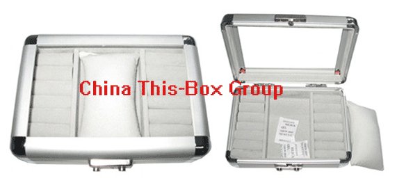 Aluminum case / Aluminum Watch case / watch case (T-BS012)