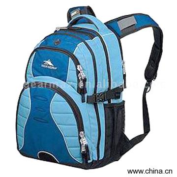 Laptop Backpack