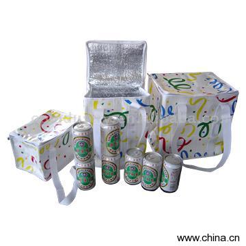 Outdoor Cooler Bag