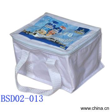 Cooler Bag
