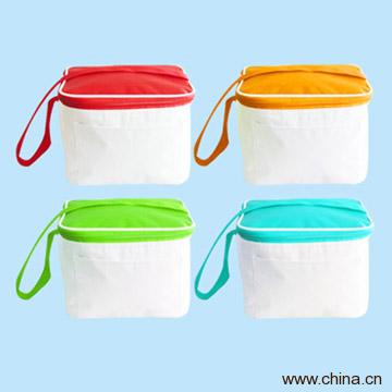 Cooler Bag