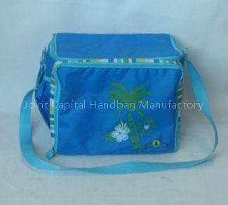 Cooler bag
