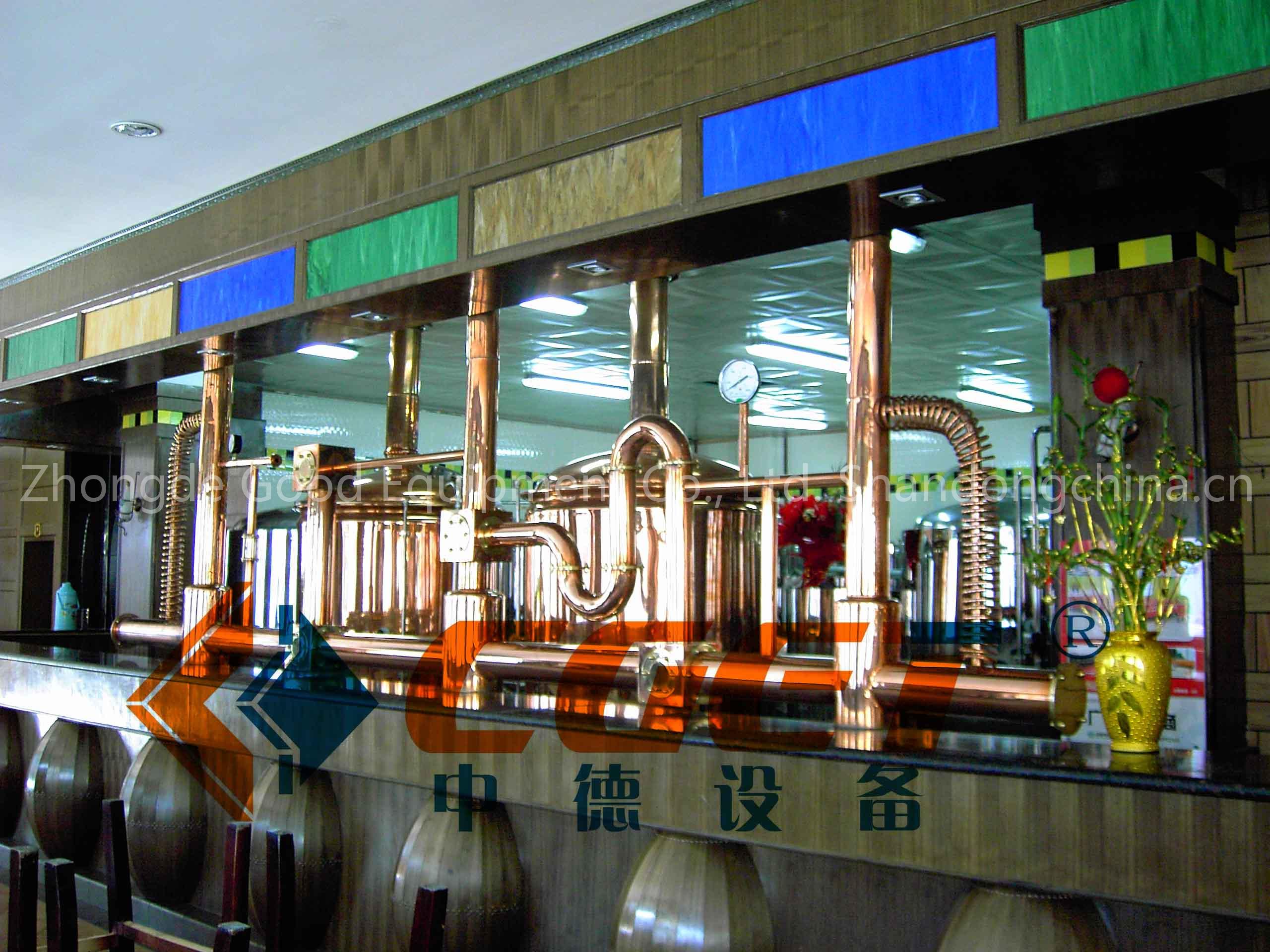 Suppling hotel brewing beer equipment