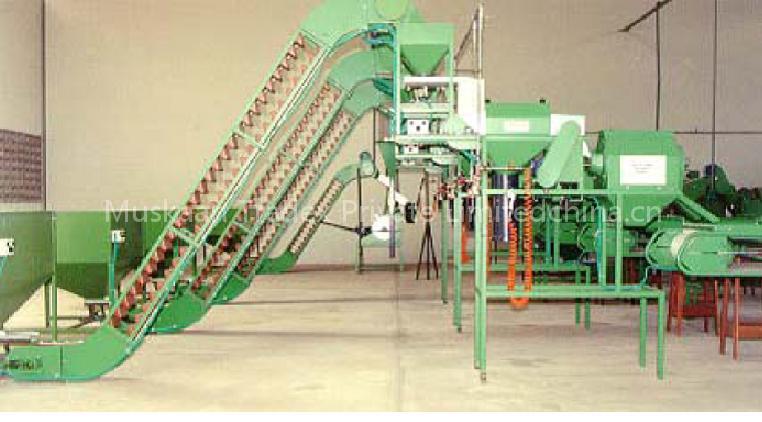 Cashew Nuts Processing Machinery