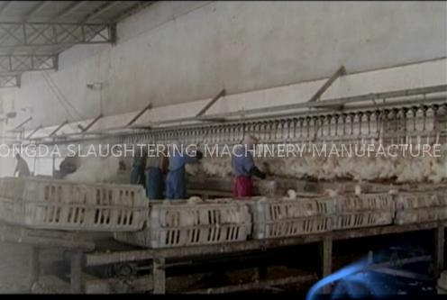 Chicken slaughter machine in china