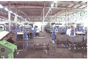 KR5 Friction Cooking Rice Noodle Production Line