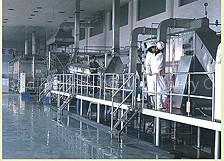 KR7 Fresh Rice Noodle Production Line