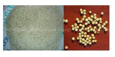 FOOD MACHINERY--RECONSTITUTED RICE