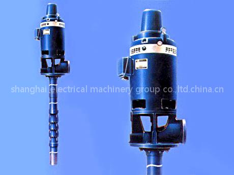 vertical hollow shaft motor
