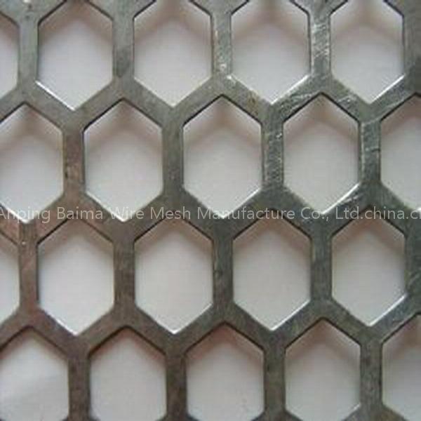 perforated screen plate
