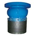 Y strainers