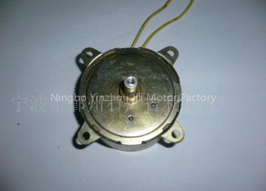 Synchro motor