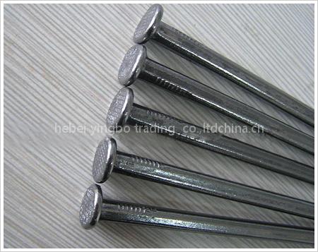 common wire nail