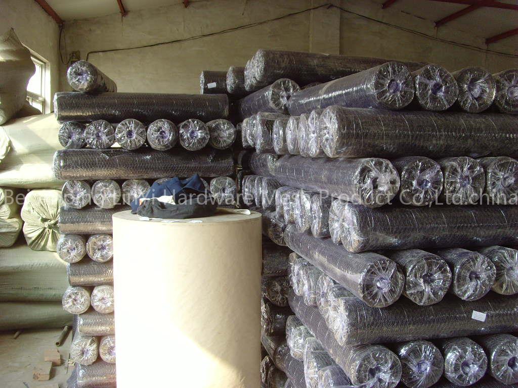 SS Crimped Wire Mesh