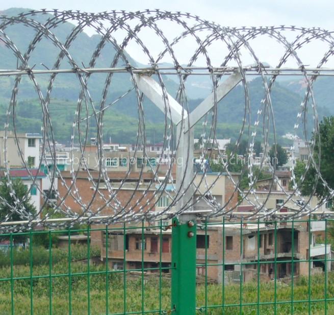 concertina wire