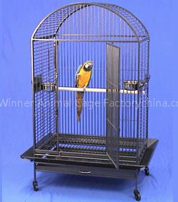 Medium Bird Cages