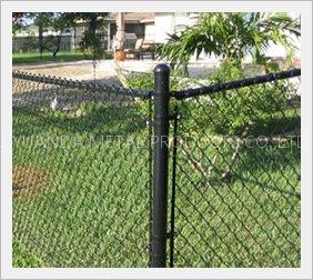 Wire Mesh Fence