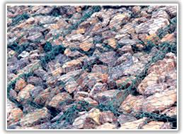 Rockfall Nets