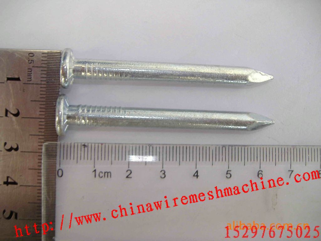 Common Nails
