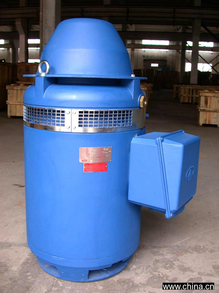 Series OHS Motors