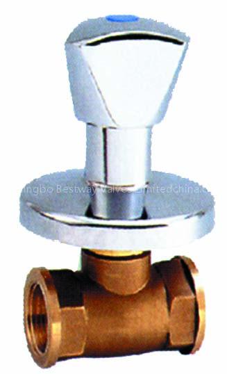 BRASS CHECK VALVES