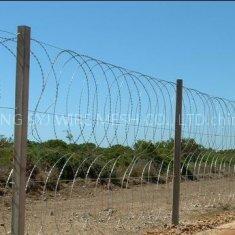 barbed wire mesh 3