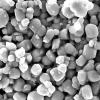 Diatomite As Chemical Filling Material (China (Mainland))