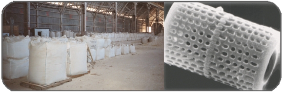 United States Zeolite And Diatomaceous Earth