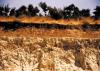 Activated Bleaching Earth (India)