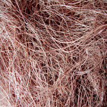 Singapore Coconut Coir