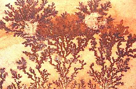 India Psilomelane Dendrites