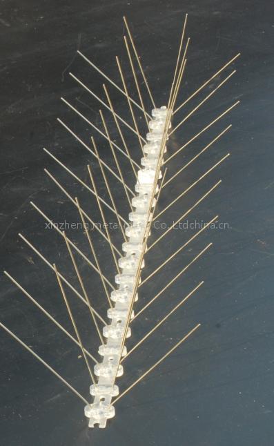 bird spike