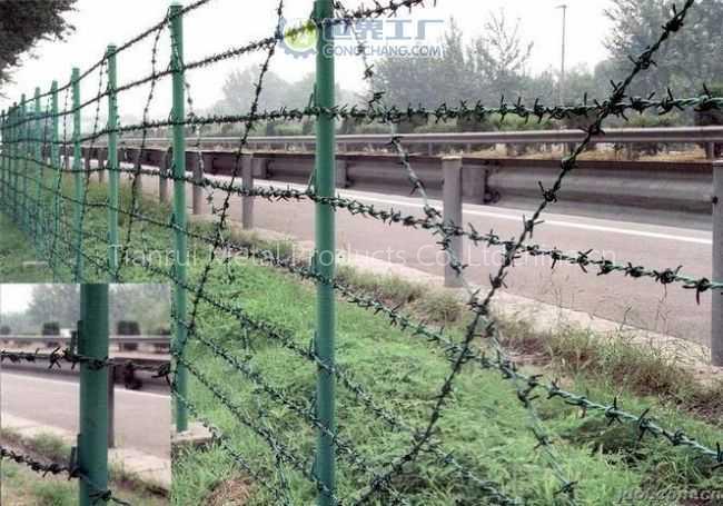 barbed wire