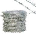Barbed Wire