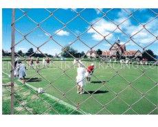 PVC coated chain link fence