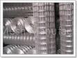 Welded Wire Mesh