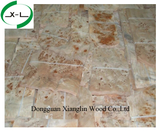 special veneer for furniture