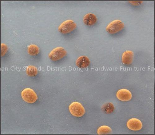 decorative panel, transparent panel