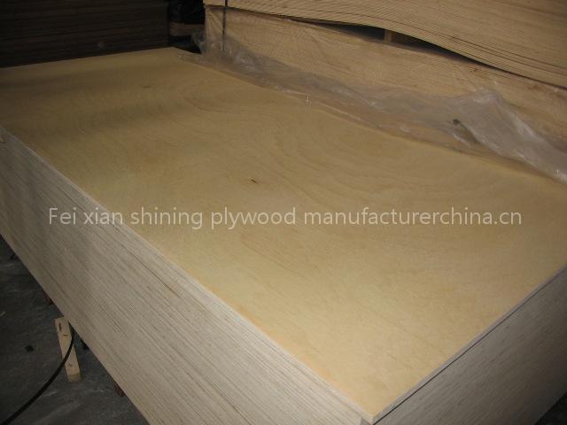 Birch plywood