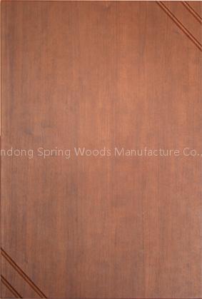 PVC Cabinet Door