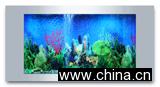 Acrylic Aquarium