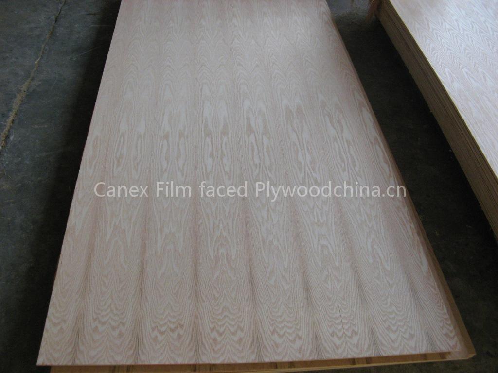 red oak plywood(ada#canex-group#com)