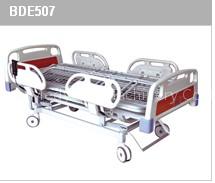 ABS Electric Turnable Bed