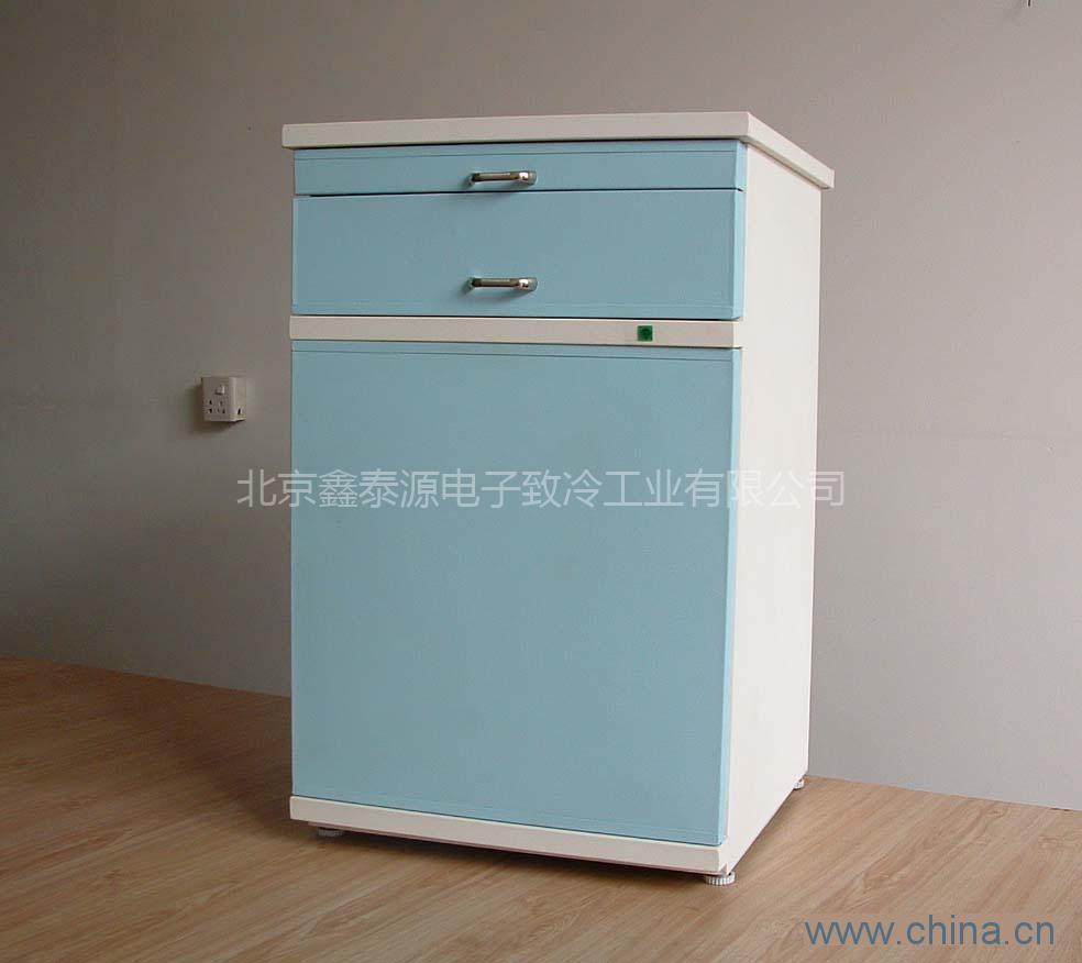 Multi-functional Blue Thermoelectric (Electric) Refrigerator