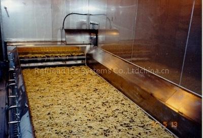 fluidization freezer IQF