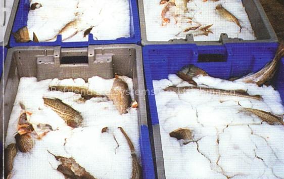 fluidic ice machine