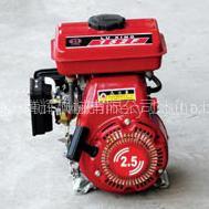 General Gasoline Engine